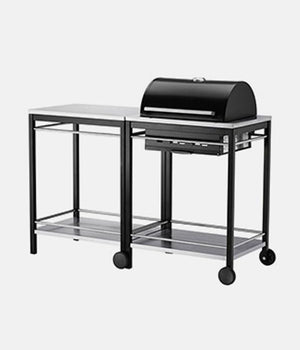 Charcoal grill with cart, stainless steel